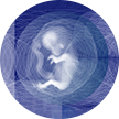 Prenatal Diagnosis (PND)
